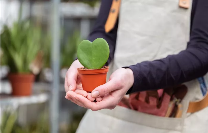 VIP-Kunden / Newsletter