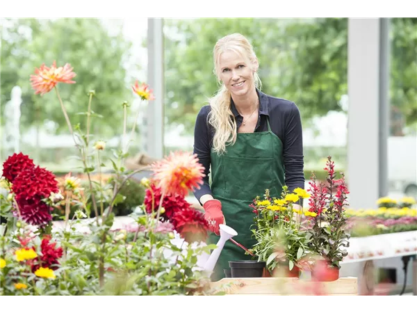 Einzelhandelskaufleute (M/W/D) in Bremerhaven