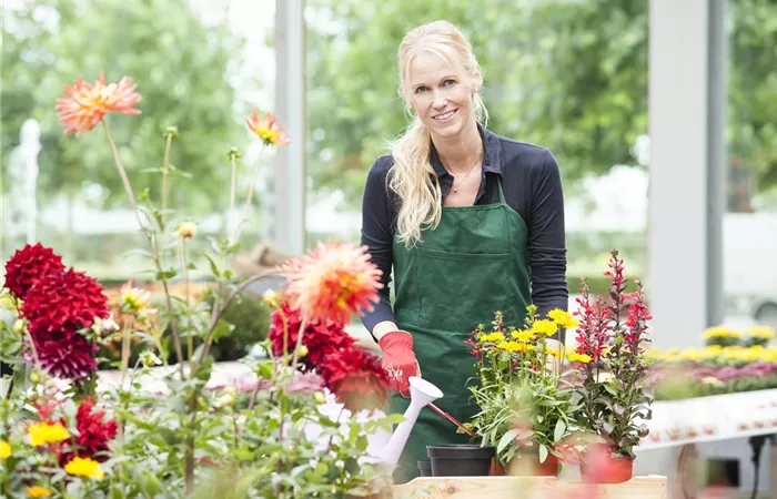 Einzelhandelskaufleute (M/W/D) in Bremerhaven