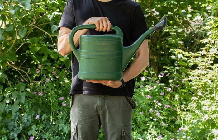 Gärtnerische Hilfskraft / Lagerarbeiter (M/W/D) in Bremerhaven