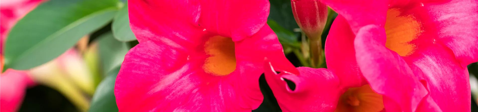 GS671341.jpg GS671341.jpg