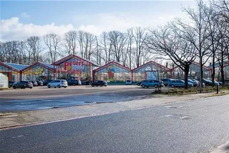 Peters Blumen - Am Weserpark.jpg