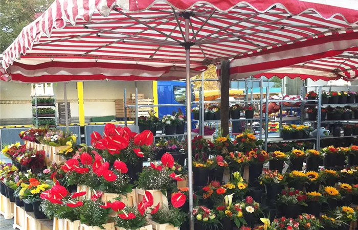 Blumen Peters - Wochenmarkt Blumen draußen.jpg