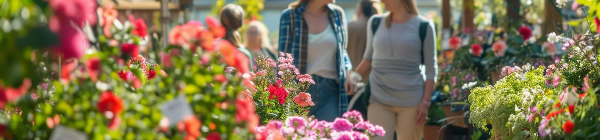 PETERS-24-372_Sommer-Blumen_Bei-Peters_8.jpeg PETERS-24-372_Sommer-Blumen_Bei-Peters_8.jpeg