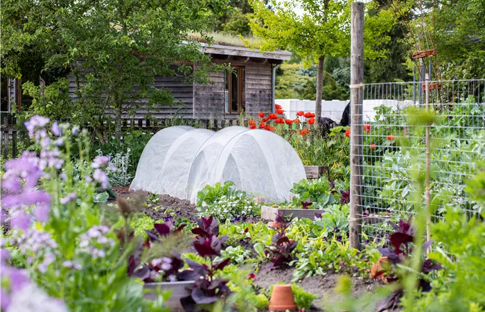 Ein Selbstversorgergarten sorgt für Freiheit