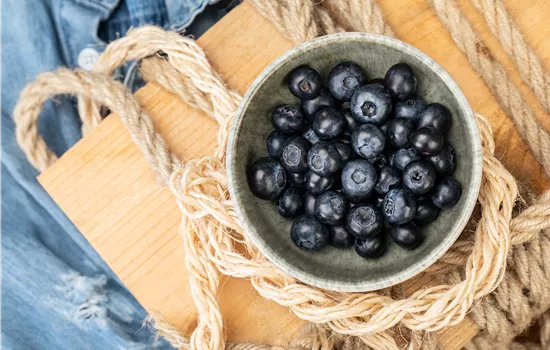 Heidelbeeren als leckerer Snack für Naschkatzen Heidelbeeren als leckerer Snack für Naschkatzen