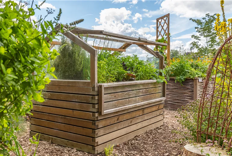 Hochbeet 