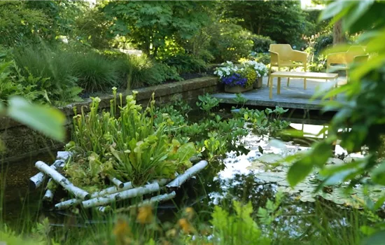 Gartengestaltung - Waldgarten