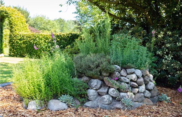 Gemüse und Kräuter kaufen ist immer eine gute Idee