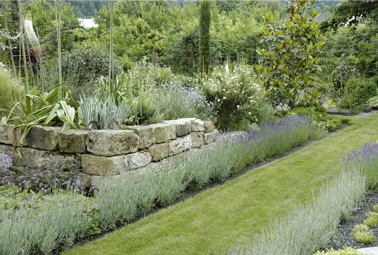 Gartengestaltung