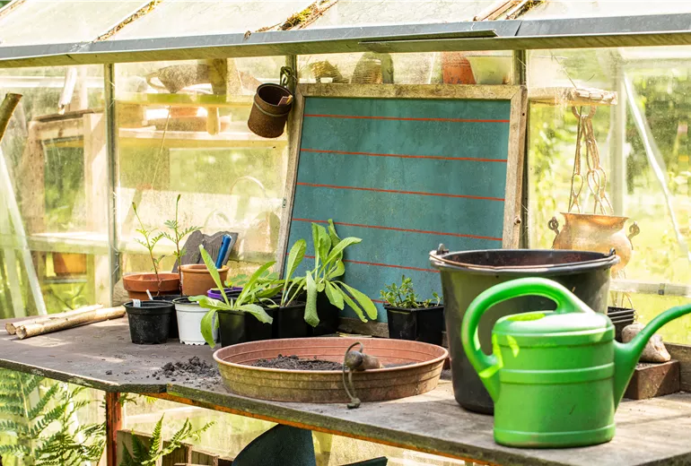 Pflanztisch am Gewächshaus 