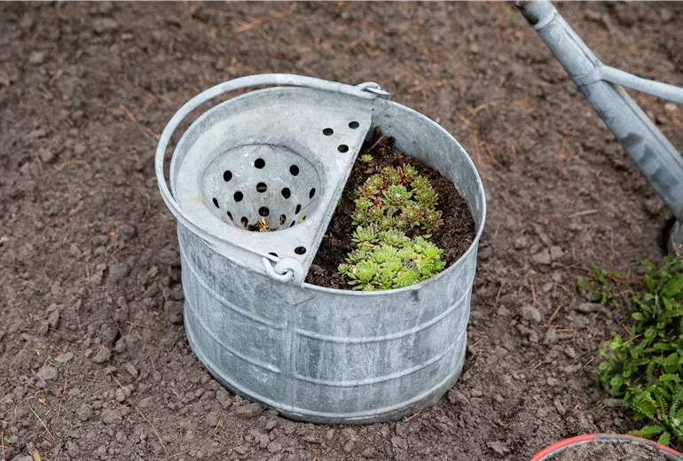 Upcycling - Bepflanzter Eimer