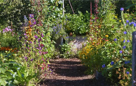 Gartengestaltung - Bauerngarten