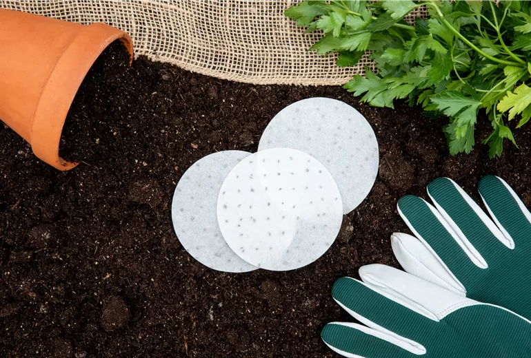 Aussaat - Saatscheiben