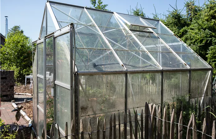 Gewächshäuser richtig bepflanzen – Mit wenigen Tricks zu reicher Ernte