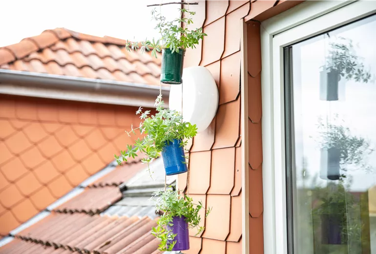 Upcycling - Pflanzen in Konservendosen