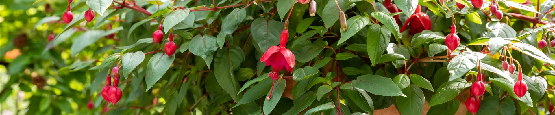 GS671928.jpg GS671928.jpg