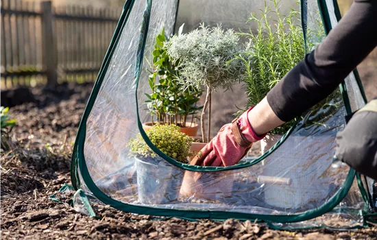 Gartenarbeit im November - Vorbereitung auf den Winter und das kommende Jahr Gartenarbeit im November - Vorbereitung auf den Winter und das kommende Jahr