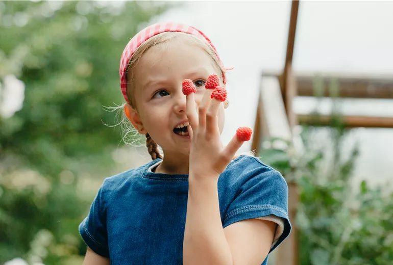 Mädchen isst Himbeeren 