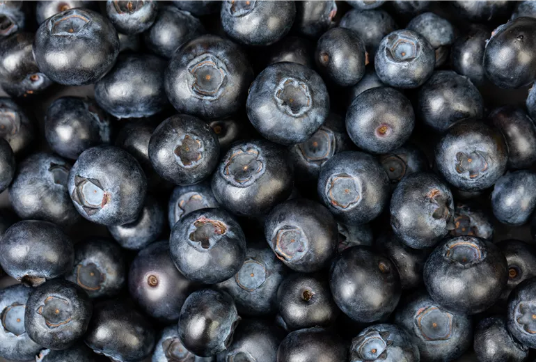 Heidelbeeren
