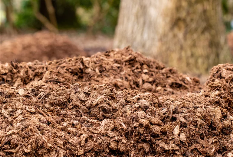 Mulch-Frostschutz