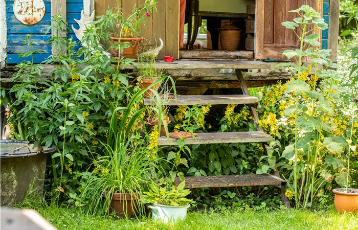 Nachhaltig gärtnern mit unseren 10 Tipps Nachhaltig gärtnern mit unseren 10 Tipps