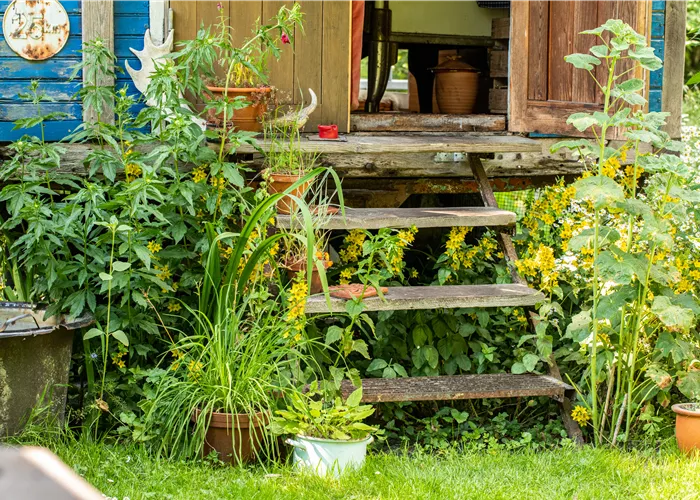 Nachhaltig gärtnern mit unseren 10 Tipps Nachhaltig gärtnern mit unseren 10 Tipps