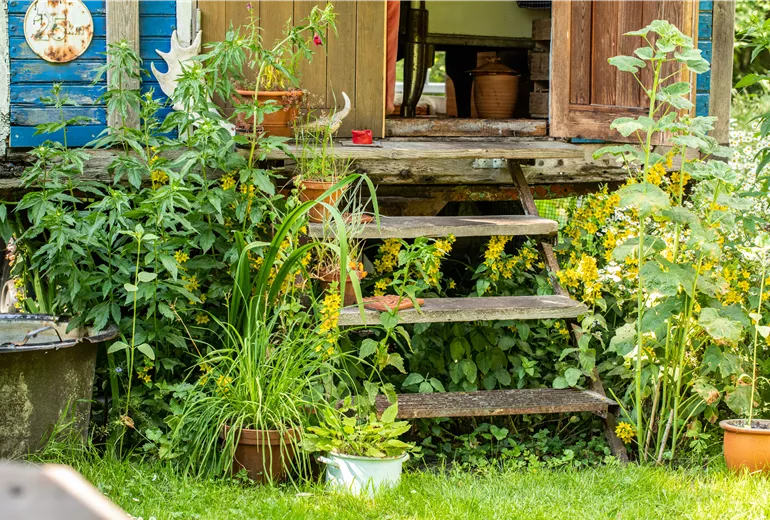 Gartenambiente Zirkuswagen