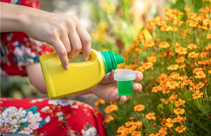 Düngeregeln: Unsere 5 Regeln für ein gesundes Pflanzenwachstum