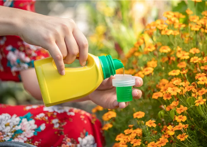 Düngeregeln: Unsere 5 Regeln für ein gesundes Pflanzenwachstum