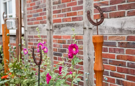 Upcycling im Garten – Nachhaltig kreativ