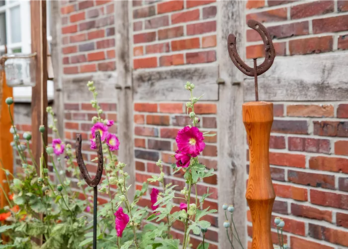 Upcycling im Garten – Nachhaltig kreativ