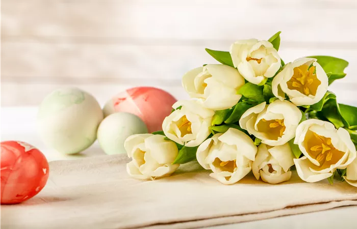 Die schönsten Blumen zu Ostern entdecken