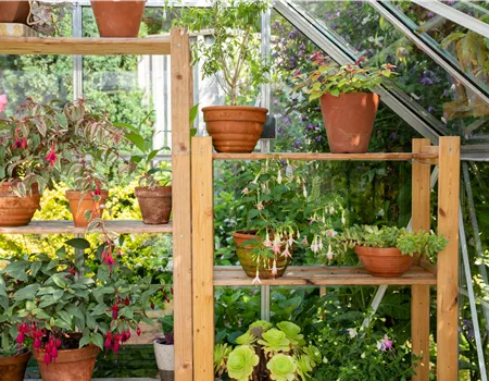 Balkongewächshaus - Gärtnern auf kleinstem Raum