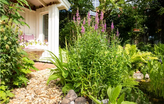 Permakultur im Garten – Nachhaltig und naturnah Permakultur im Garten – Nachhaltig und naturnah