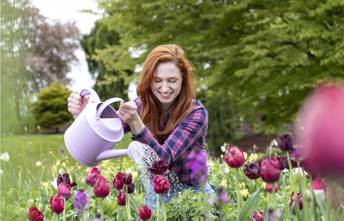 Gartenarbeit im Mai: Den Frühling voll auskosten