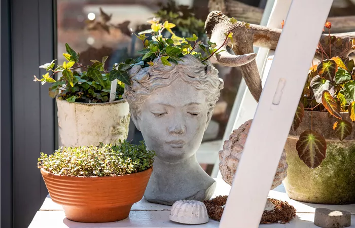 Einen Topfgarten anlegen - Viel Pflanzen und wenig Platz Einen Topfgarten anlegen - Viel Pflanzen und wenig Platz