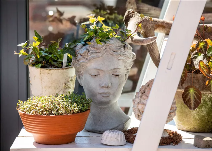 Einen Topfgarten anlegen - Viel Pflanzen und wenig Platz Einen Topfgarten anlegen - Viel Pflanzen und wenig Platz