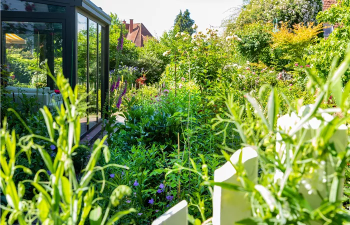 Gartenarbeit im August: Tipps und Tricks für einen bunten Sommer