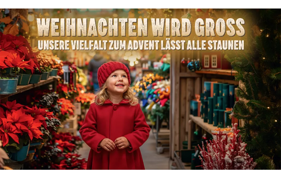 Website Weihnachten Home.png