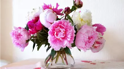Pfingstrosen in Vase.png